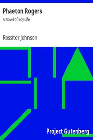 [Gutenberg 48313] • Phaeton Rogers: A Novel of Boy Life